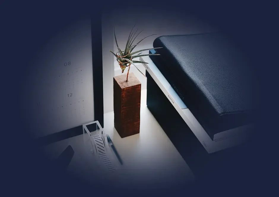 Impôt des personnes physiques